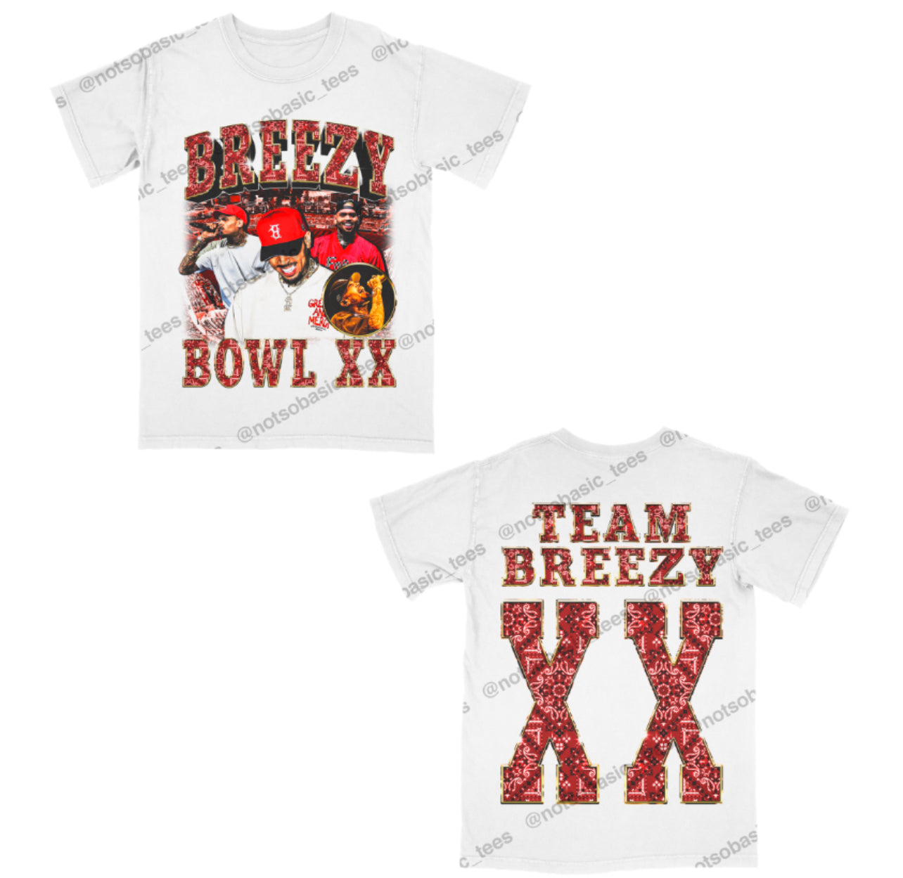 Red & Gold Bandanna CB Bowl